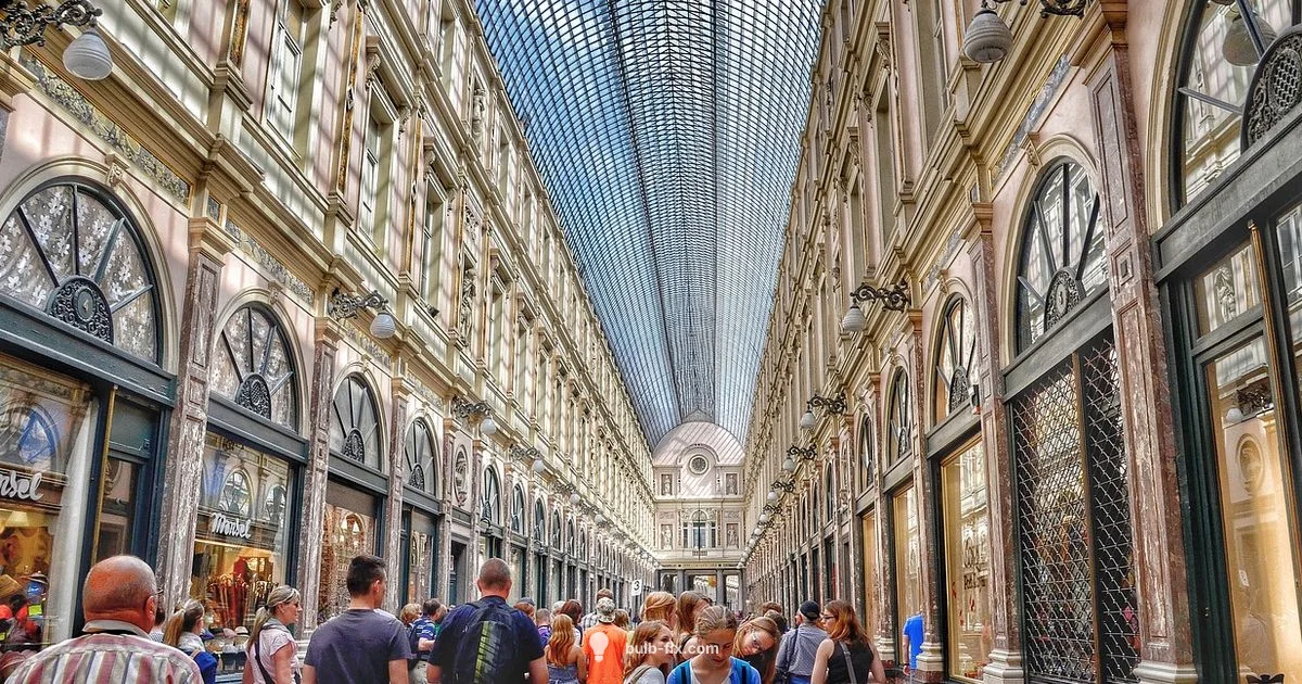 Bulb Shopping Guide - Bulb Fix