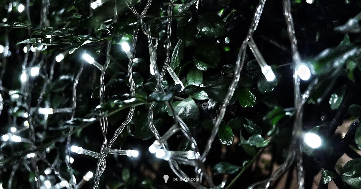 Giant Christmas Bulb Guide Giant Christmas Bulb Guide - Bulb Fix