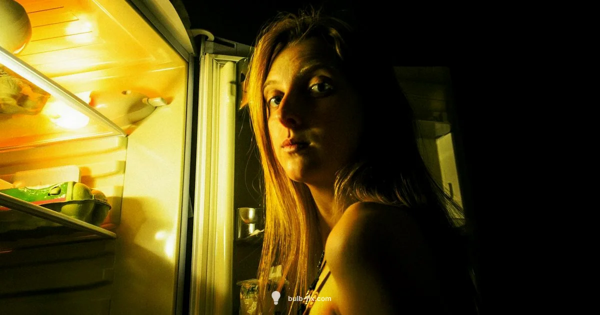 Fridge LED Bulb Guide - Bulb Fix