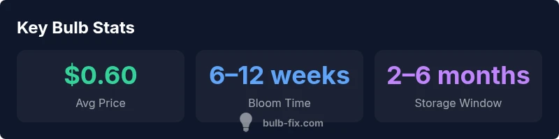 Infographic showing bulb pricing, bloom windows, and storage timelines