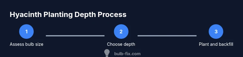 Process diagram showing hyacinth bulb depth planting steps