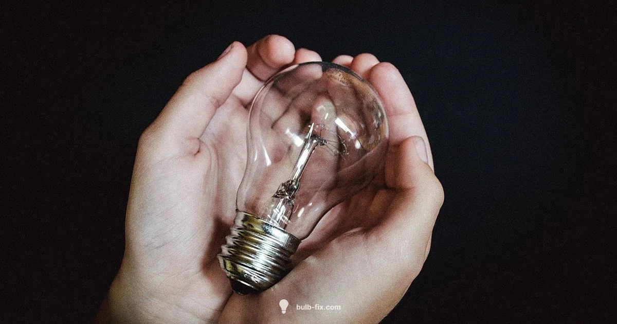 Bulb vs Rhizome - Bulb Fix