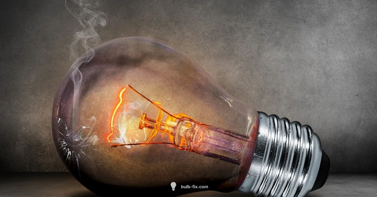 Bulb App Overview - Bulb Fix