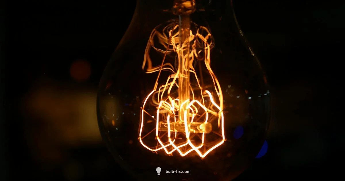 60W Type A Bulb - Bulb Fix