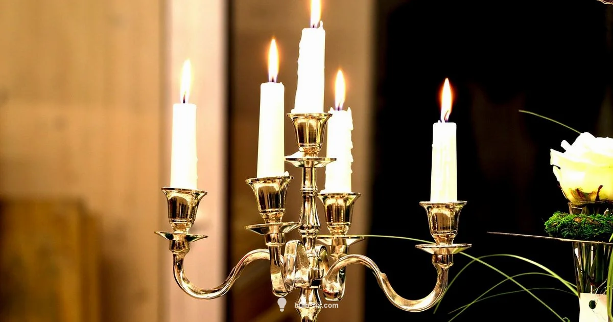 Candle Bulb Guide - Bulb Fix