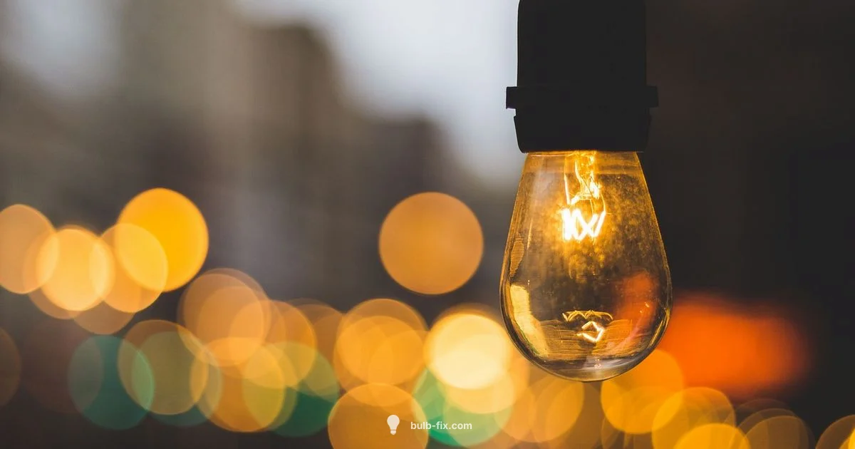 Vintage Bulbs Guide - Bulb Fix