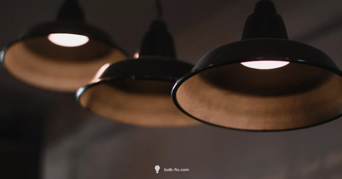 Bulb Guide Bulb Guide - Bulb Fix