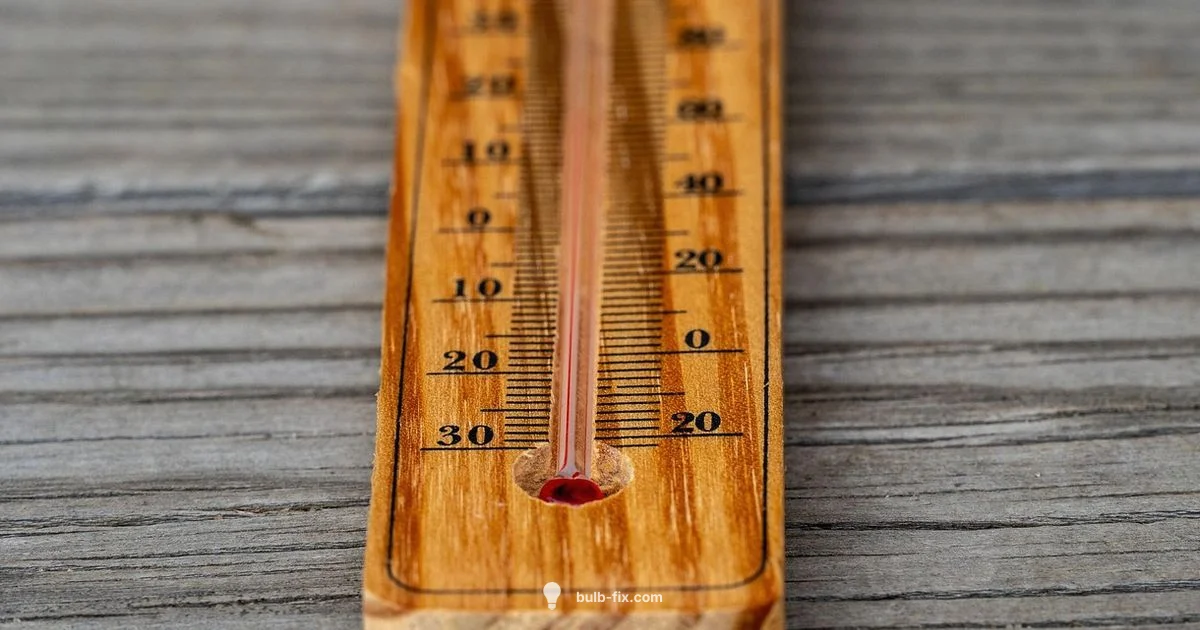 Wet vs Dry Bulb Wet vs Dry Bulb - Bulb Fix