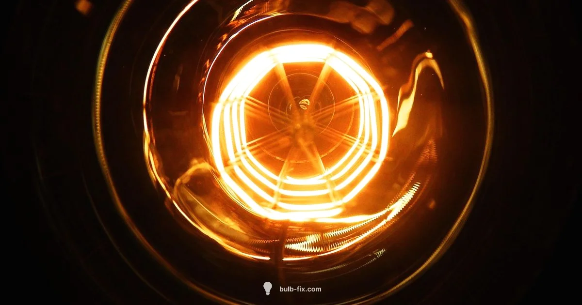 Broken Bulb Guide - Bulb Fix