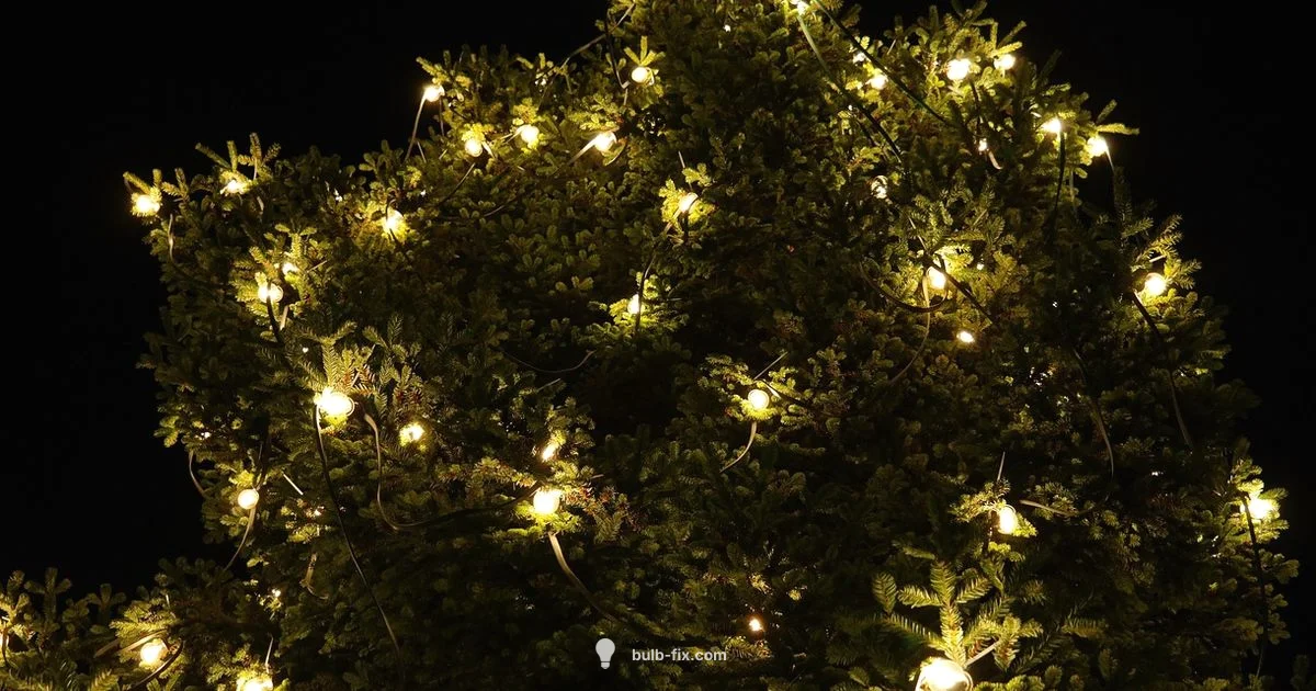 Smaller Bulb Guide Smaller Bulb Guide - Bulb Fix