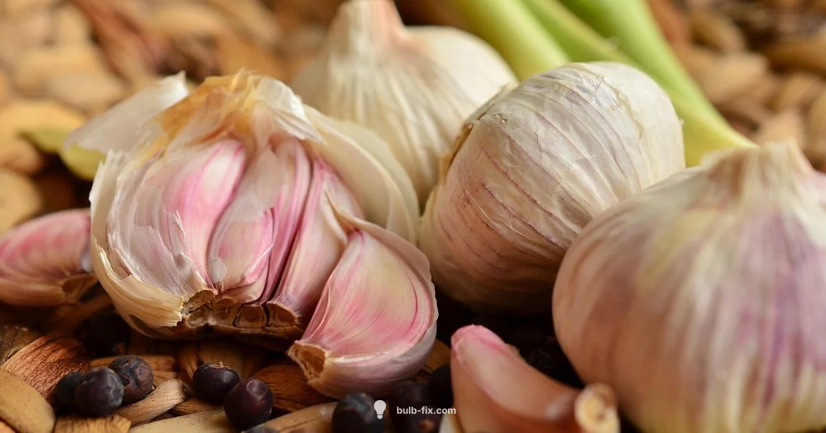 Clove Count Guide Clove Count Guide - Bulb Fix