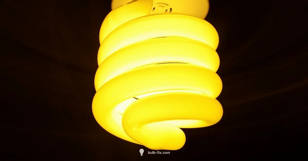 Bulb Energy Guide Bulb Energy Guide - Bulb Fix