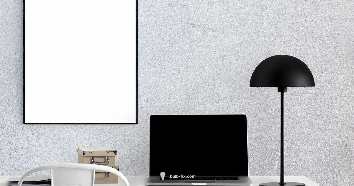 Amazon Lamp Guide - Bulb Fix