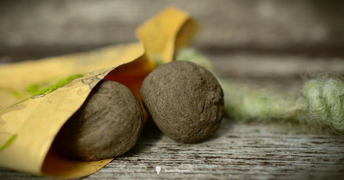 Bulb Seeds Guide - Bulb Fix