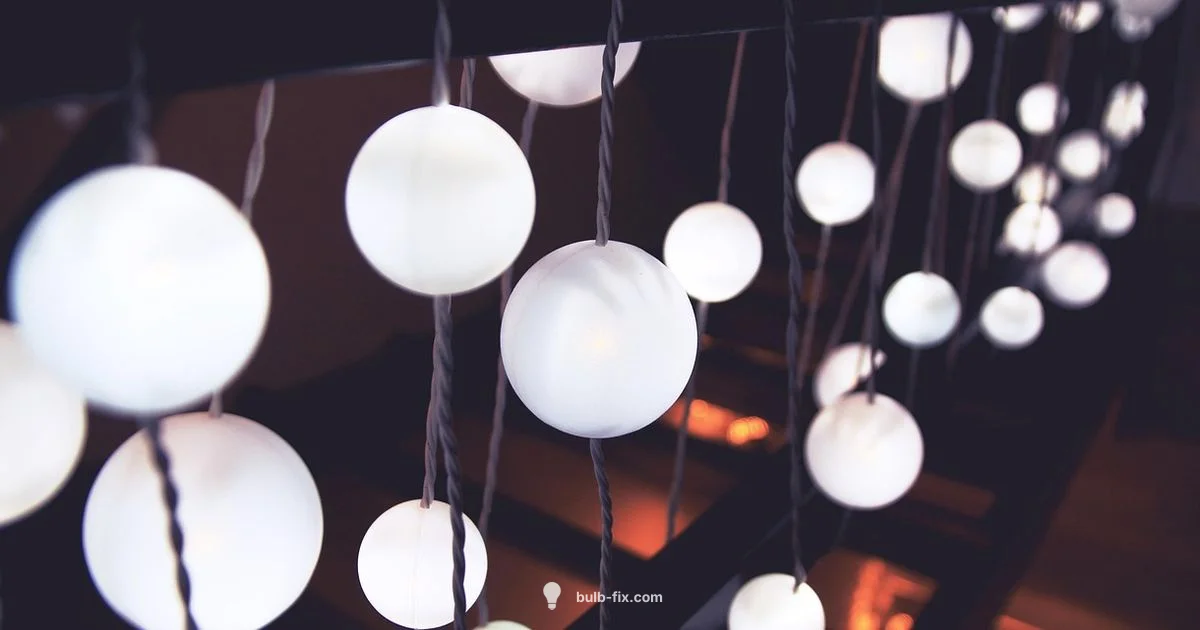 A19 Bulb Essentials - Bulb Fix