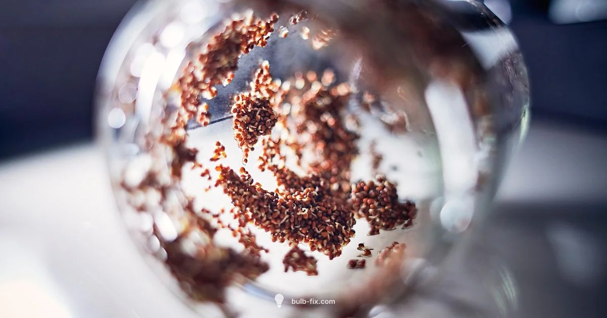 Stop Bulb Sprouting Stop Bulb Sprouting - Bulb Fix