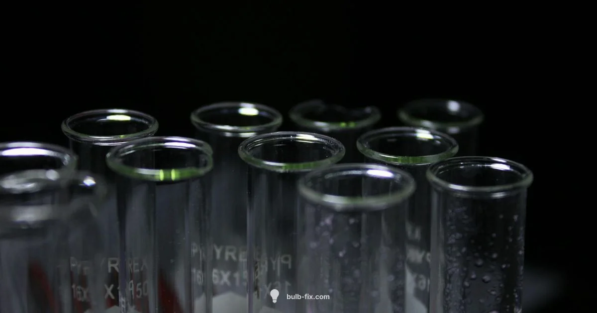 Wet Bulb Basics - Bulb Fix