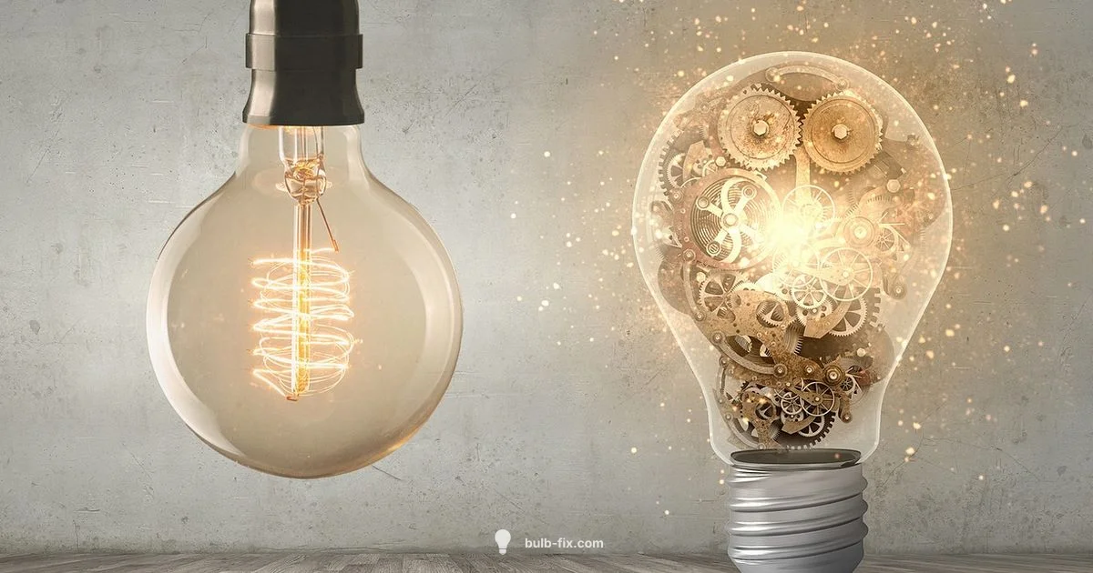 Socket Extension Guide Socket Extension Guide - Bulb Fix