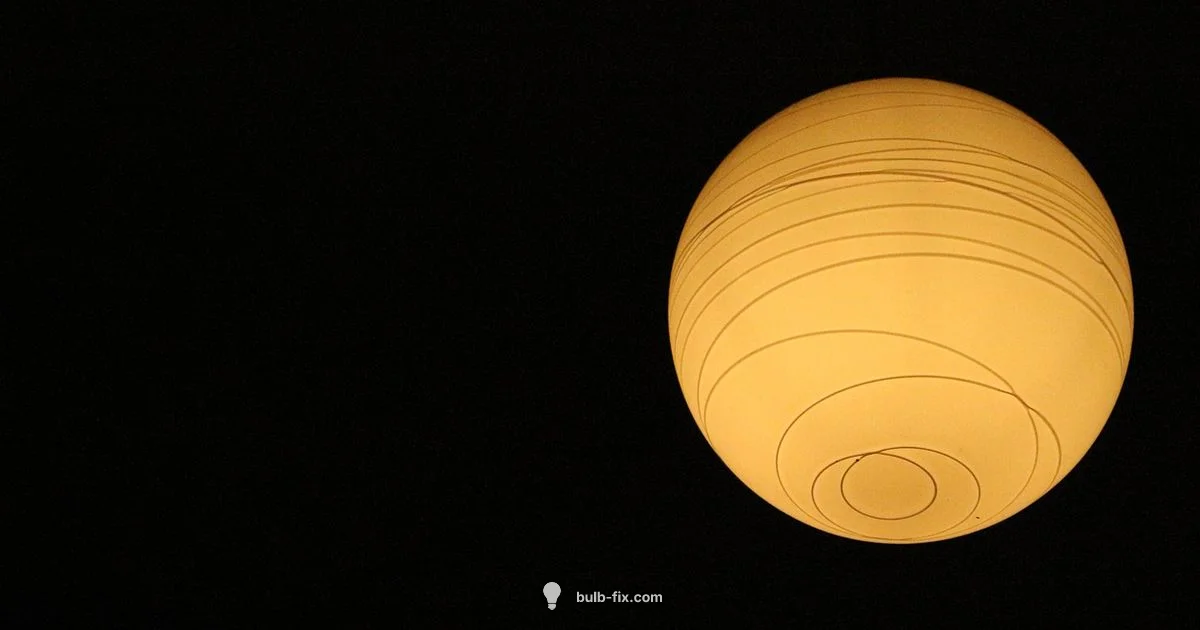 Right Bulb Guide Right Bulb Guide - Bulb Fix