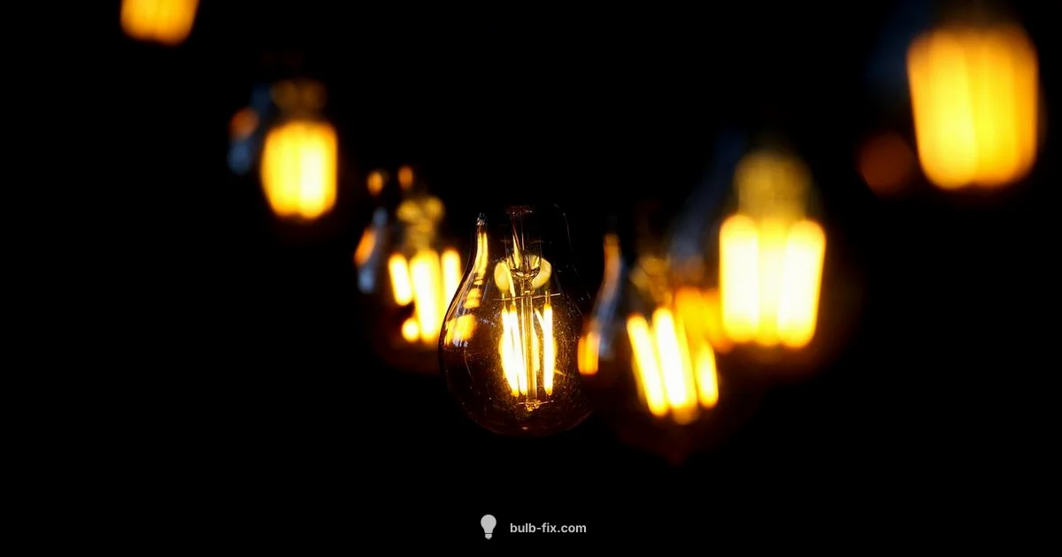 Brighten Your Space - Bulb Fix