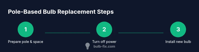 Process diagram for using a light bulb changing pole