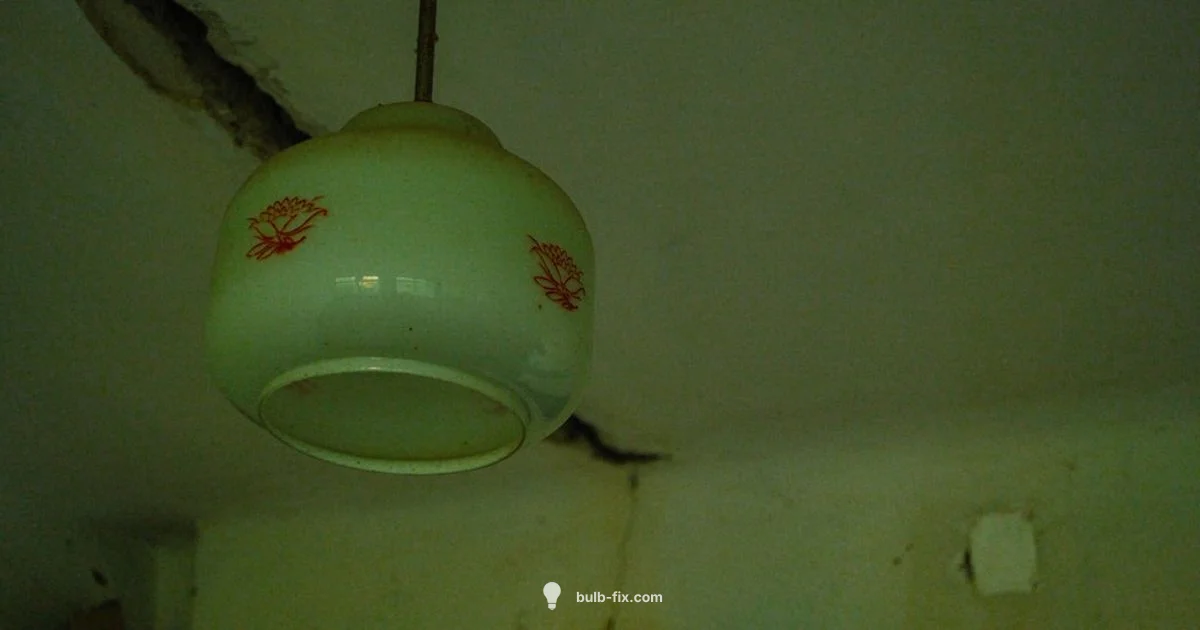 Right Size Fit - Bulb Fix