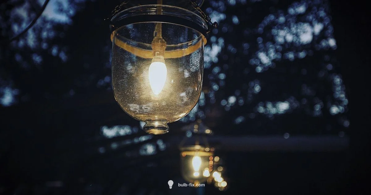 Light Bulb Basics - Bulb Fix