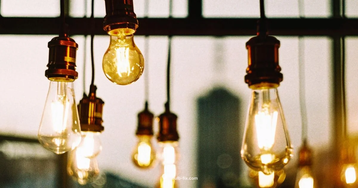 CFL Bulbs Basics CFL Bulbs Basics - Bulb Fix