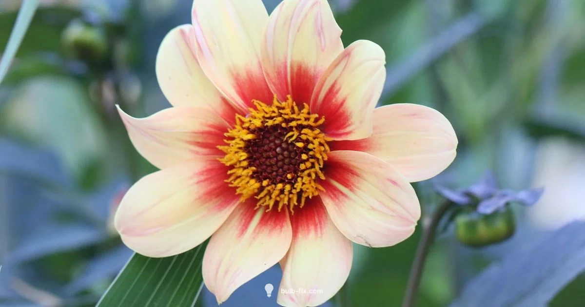 Flower Bulb Light Guide - Bulb Fix