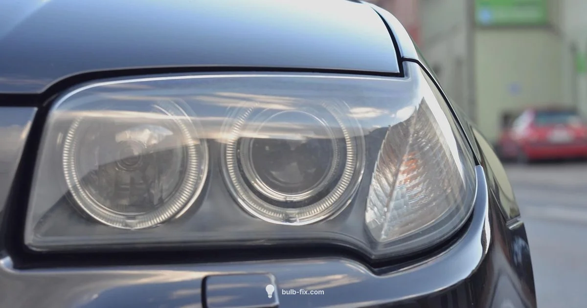 H11 Basics - Bulb Fix