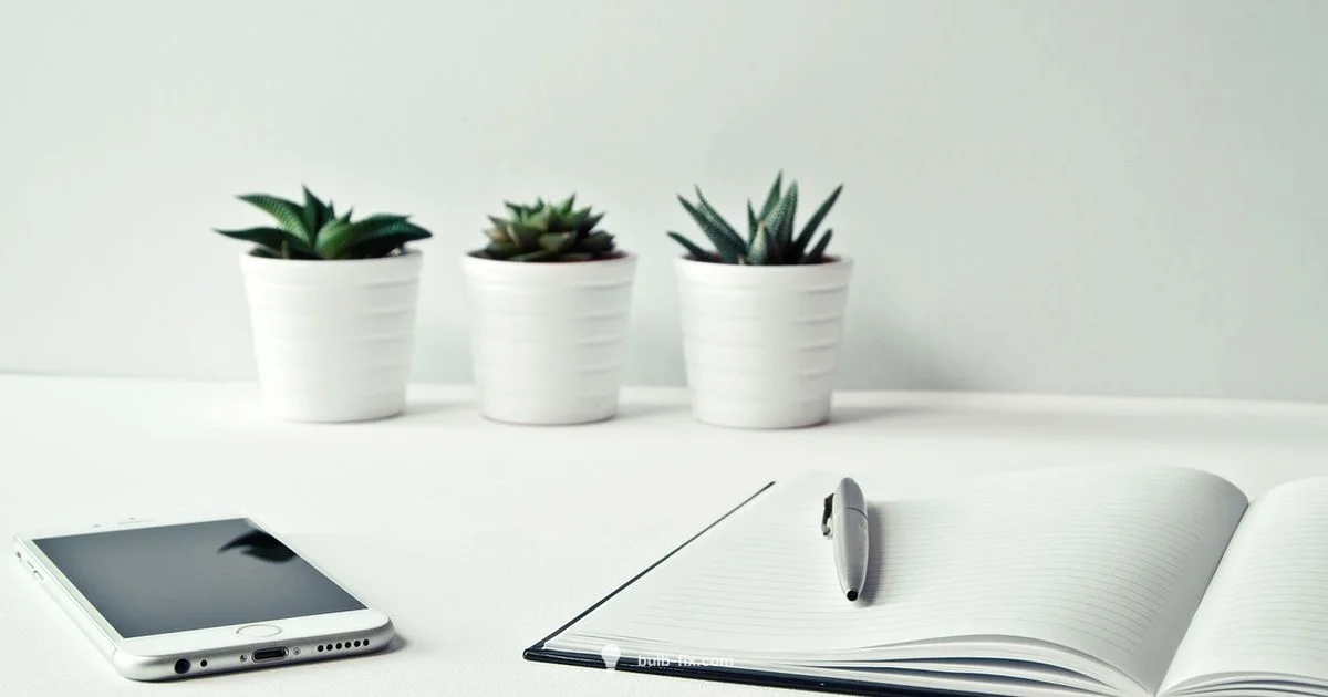 Cordless Desk Lamp - Bulb Fix