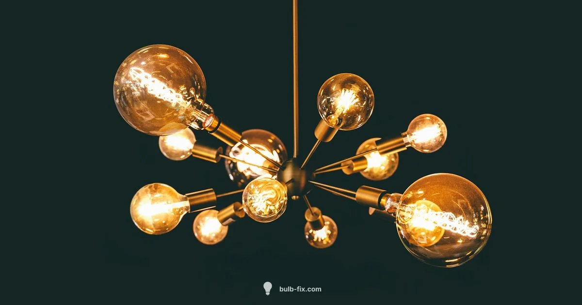 E26 Bulb Basics - Bulb Fix