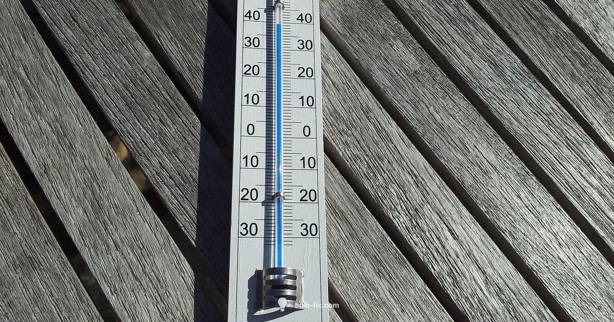 Wet vs Dew Point - Bulb Fix