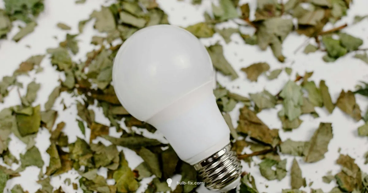 Three Way LED Bulb - Bulb Fix