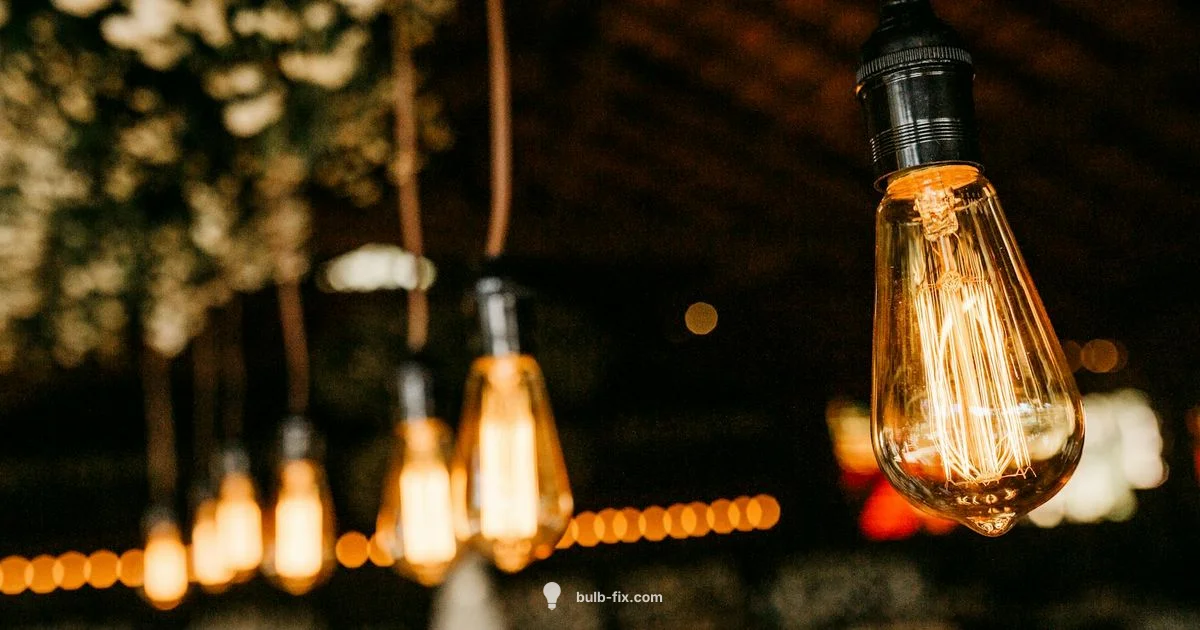 Incandescent Basics Incandescent Basics - Bulb Fix