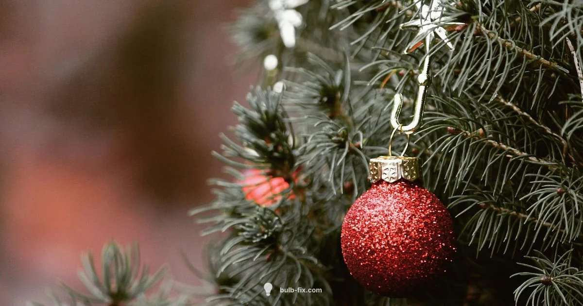 Bulb Replacement Guide - Bulb Fix