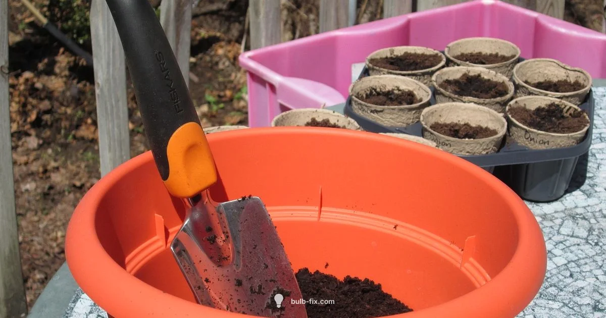 Container Bulb Guide - Bulb Fix