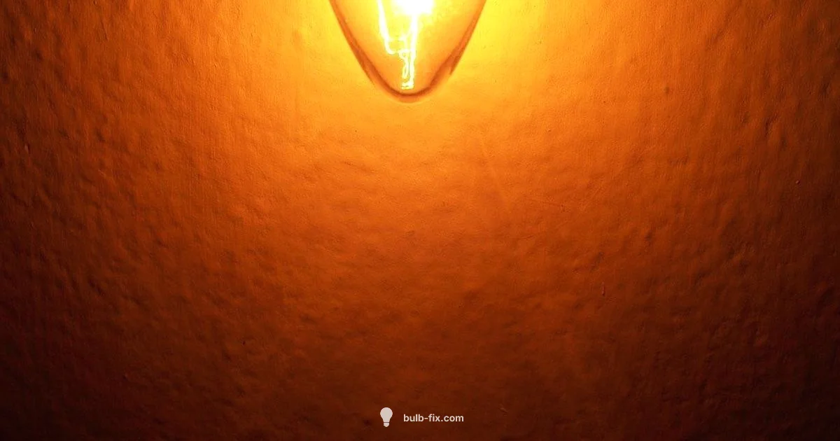 Invention Timeline - Bulb Fix