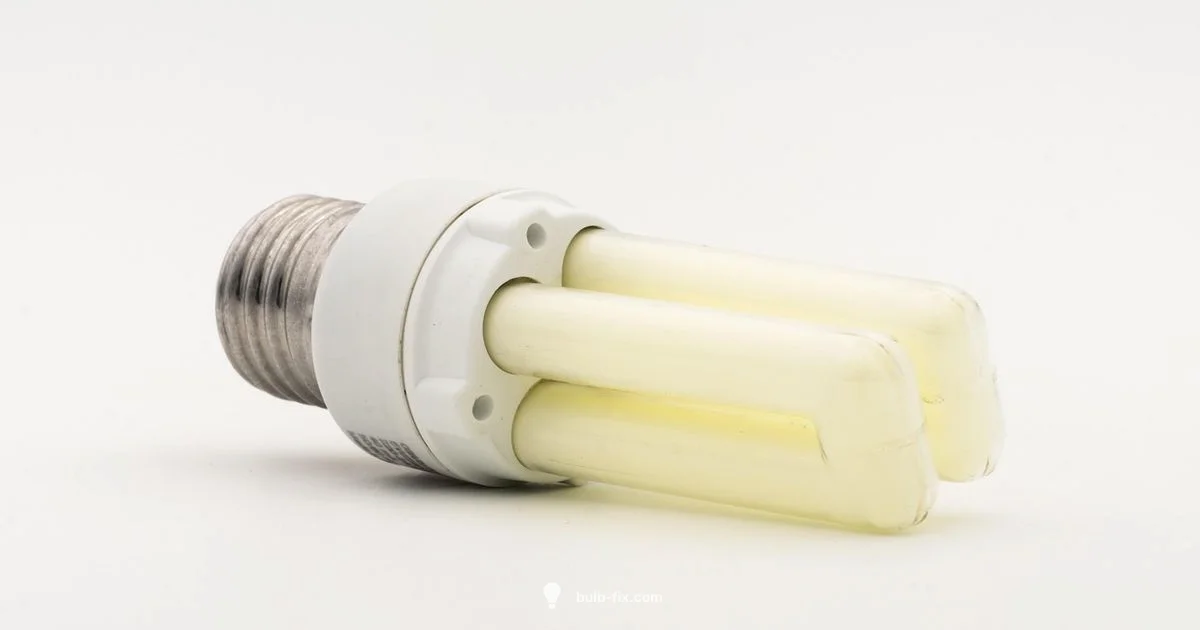 E27 Bulb Guide - Bulb Fix