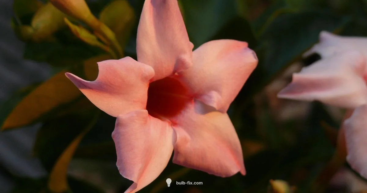 Bulb Growth Light - Bulb Fix