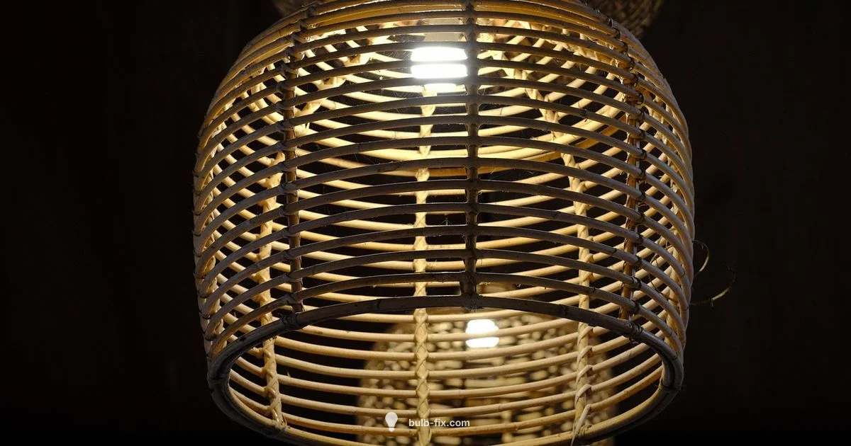 Recessed Bulb Guide - Bulb Fix