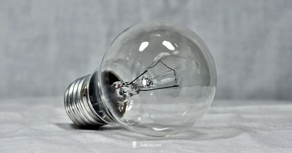 Type A Bulbs Guide - Bulb Fix