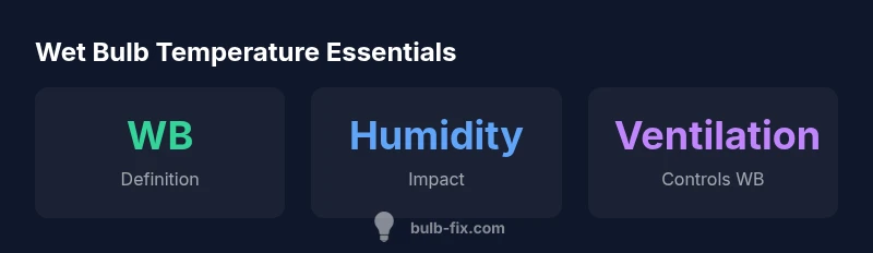 Infographic showing wet bulb temperature essentials