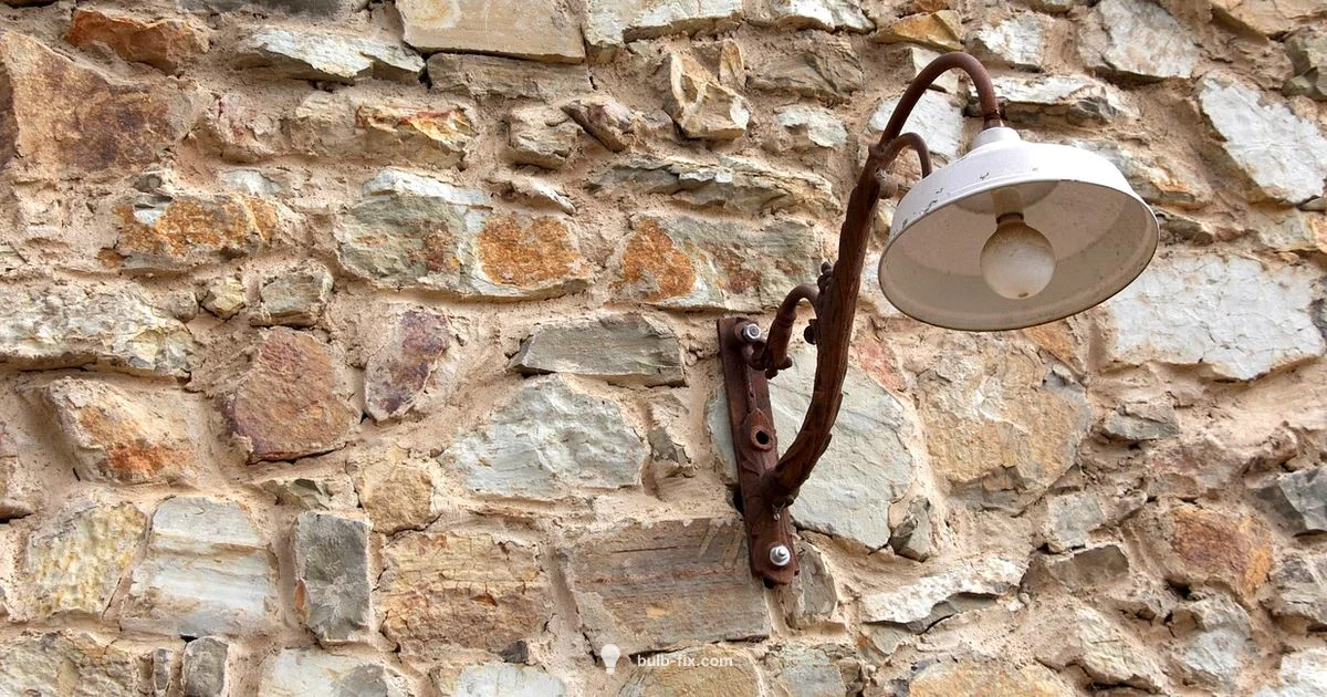 60W Bulb Basics - Bulb Fix