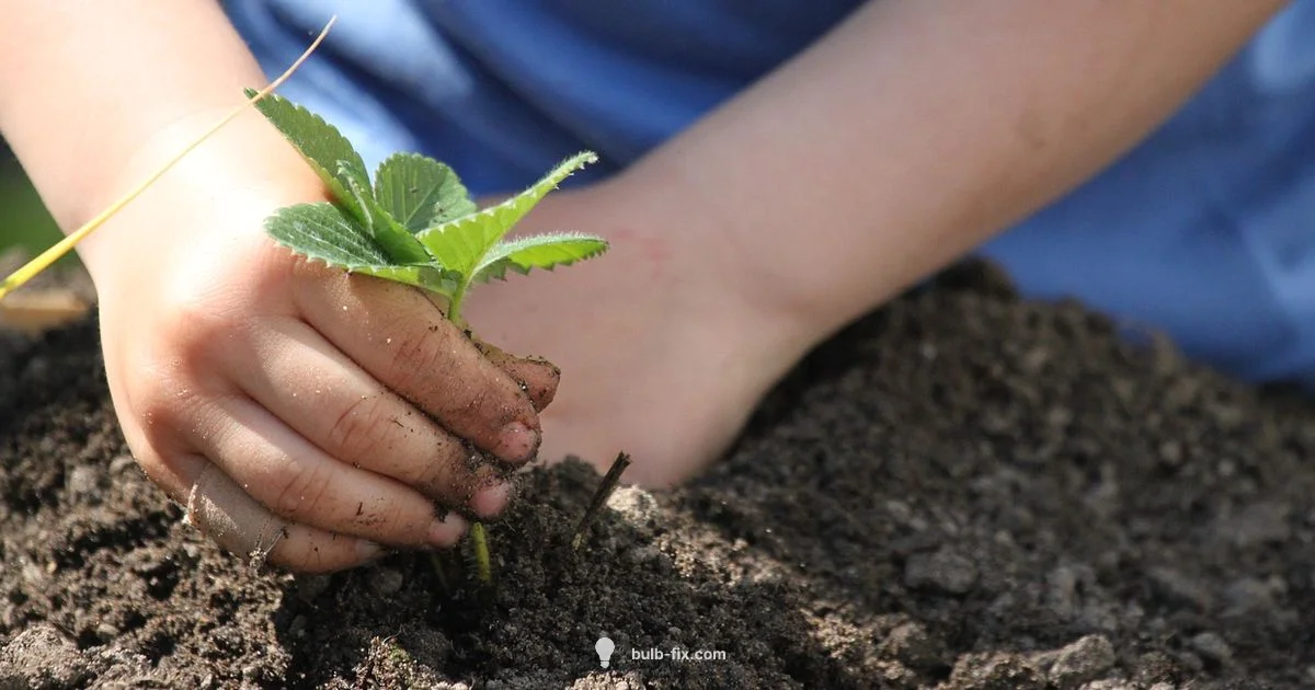 October Bulb Planting - Bulb Fix