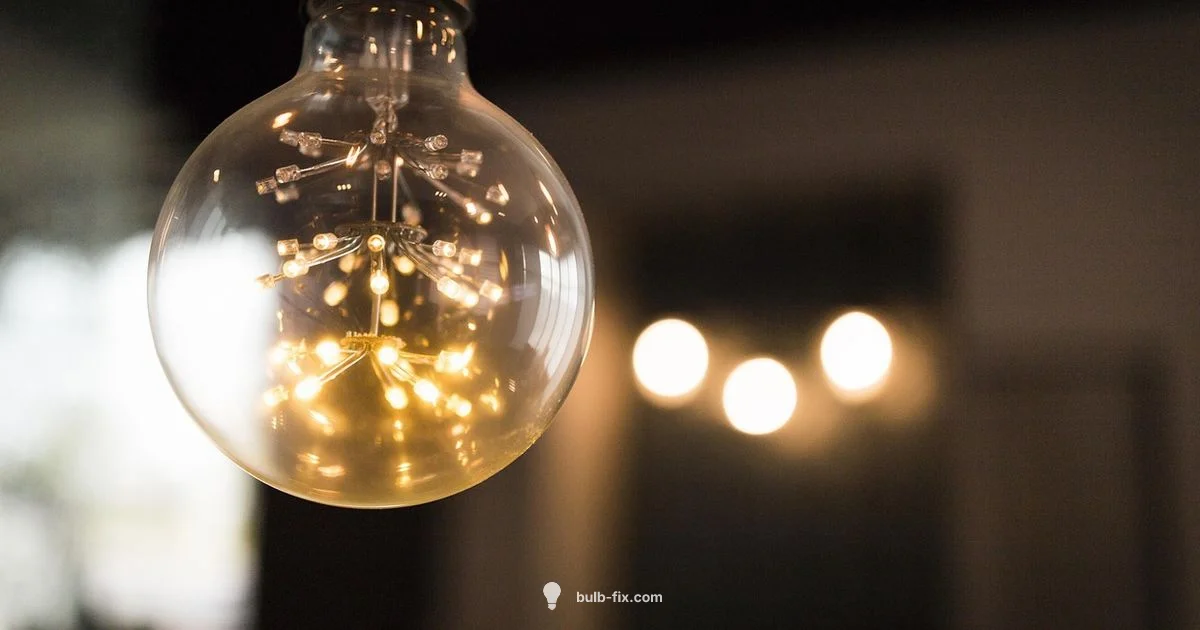 Identify bulb type - Bulb Fix