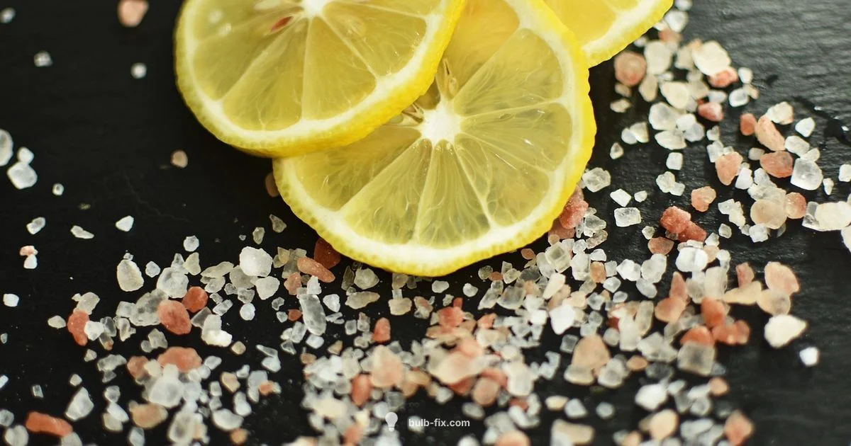 Salt Lamp Bulb Guide - Bulb Fix