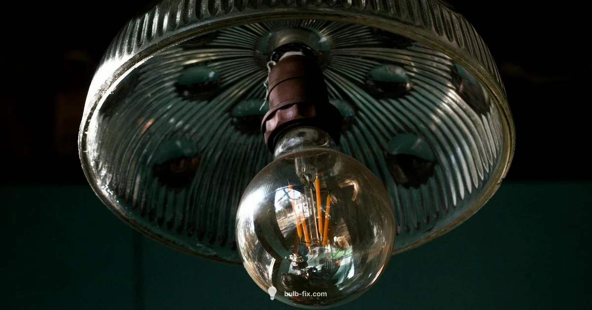 Bulb Receptacle Essentials Bulb Receptacle Essentials - Bulb Fix