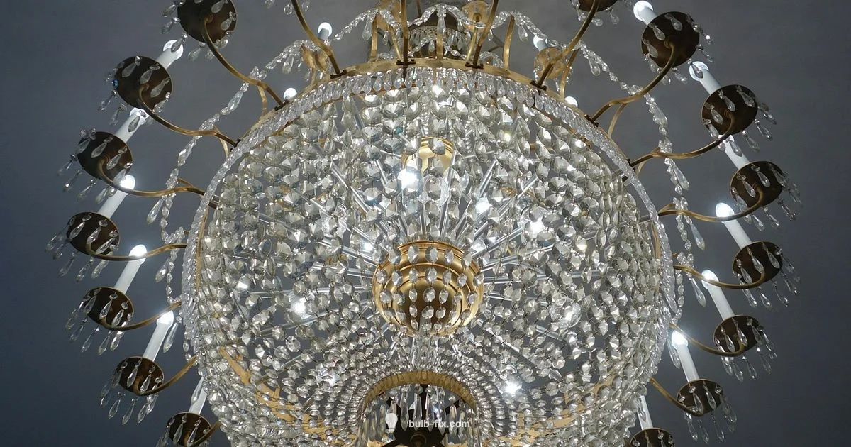 B11 Bulb Guide - Bulb Fix