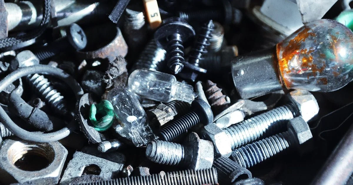 Bulb & Socket Guide - Bulb Fix